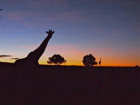 Kenia: información práctica para organizar tu viaje