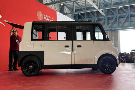 Olinia 3