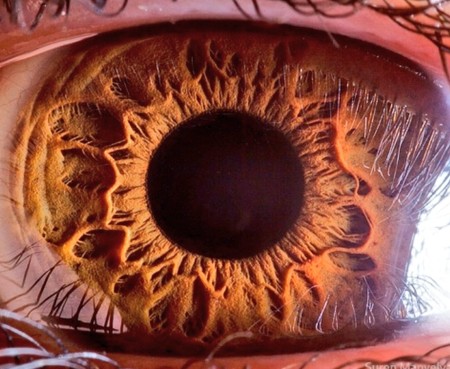 Samsung quiere construir sensores de 600 megapíxeles que desafíen el límite teórico del ojo humano