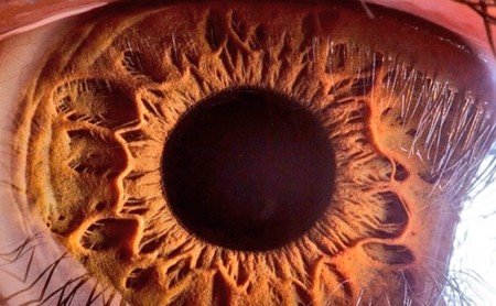 Samsung quiere construir sensores de 600 megapíxeles que desafíen el límite teórico del ojo humano
