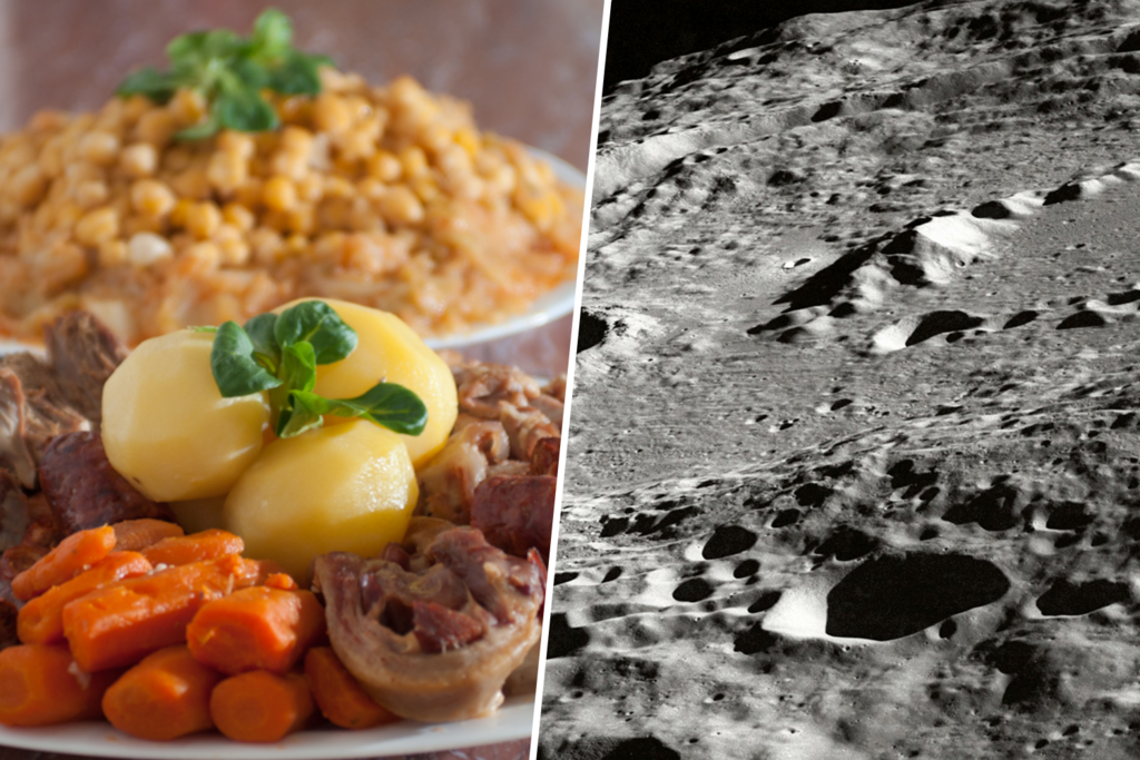 Ya sabemos lo que comeremos en la luna: cocido madrileño. Un equipo norteamericano consigue cultivar garbanzos en regolito lunar  