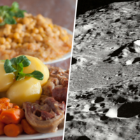 Ya sabemos lo que comeremos en la luna: cocido madrileño. Un equipo norteamericano consigue cultivar garbanzos en regolito lunar  