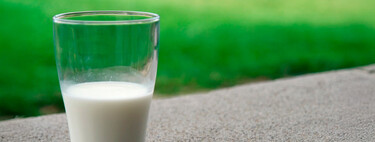 Es polémica ahora y lo era en el siglo XIX: breve historia de la leche, una bebida en el centro de los debates morales, alimentarios y económicos 