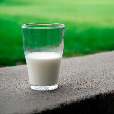 Es polémica ahora y lo era en el siglo XIX: breve historia de la leche, una bebida en el centro de los debates morales, alimentarios y económicos 