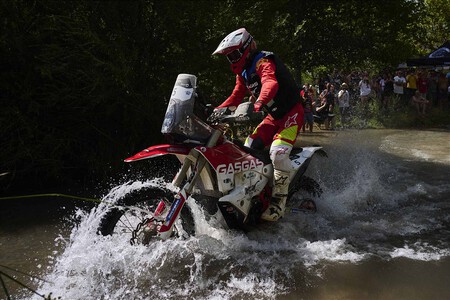 Tosha Schareina Baja Aragon