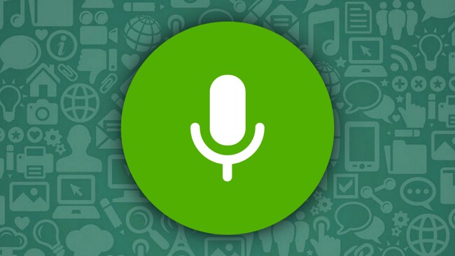 Notas De Voz Whatsapp