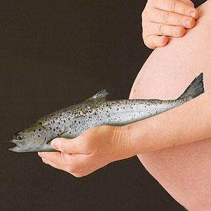 Mercurio en el pescado