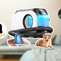 Olvídate de las manchas en alfombras y sillones con esta aspiradora para tapicería: hoy en Amazon por 1,699 pesos 