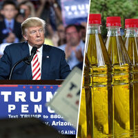 El aceite de oliva español lleva años sufriendo los efectos de un mercado roto. Ahora tiembla por algo peor: la ira de Trump