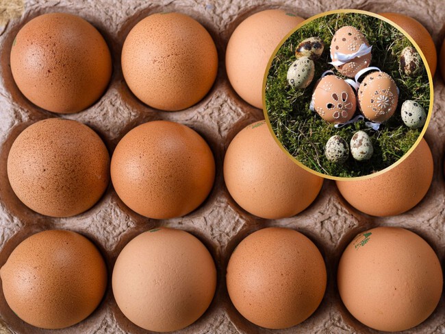 3 ideas que puedes hacer con los cascarones de huevo y que no es composta: opciones para no tirarlos