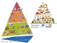 Se proponen cambios para la pirámide de los alimentos