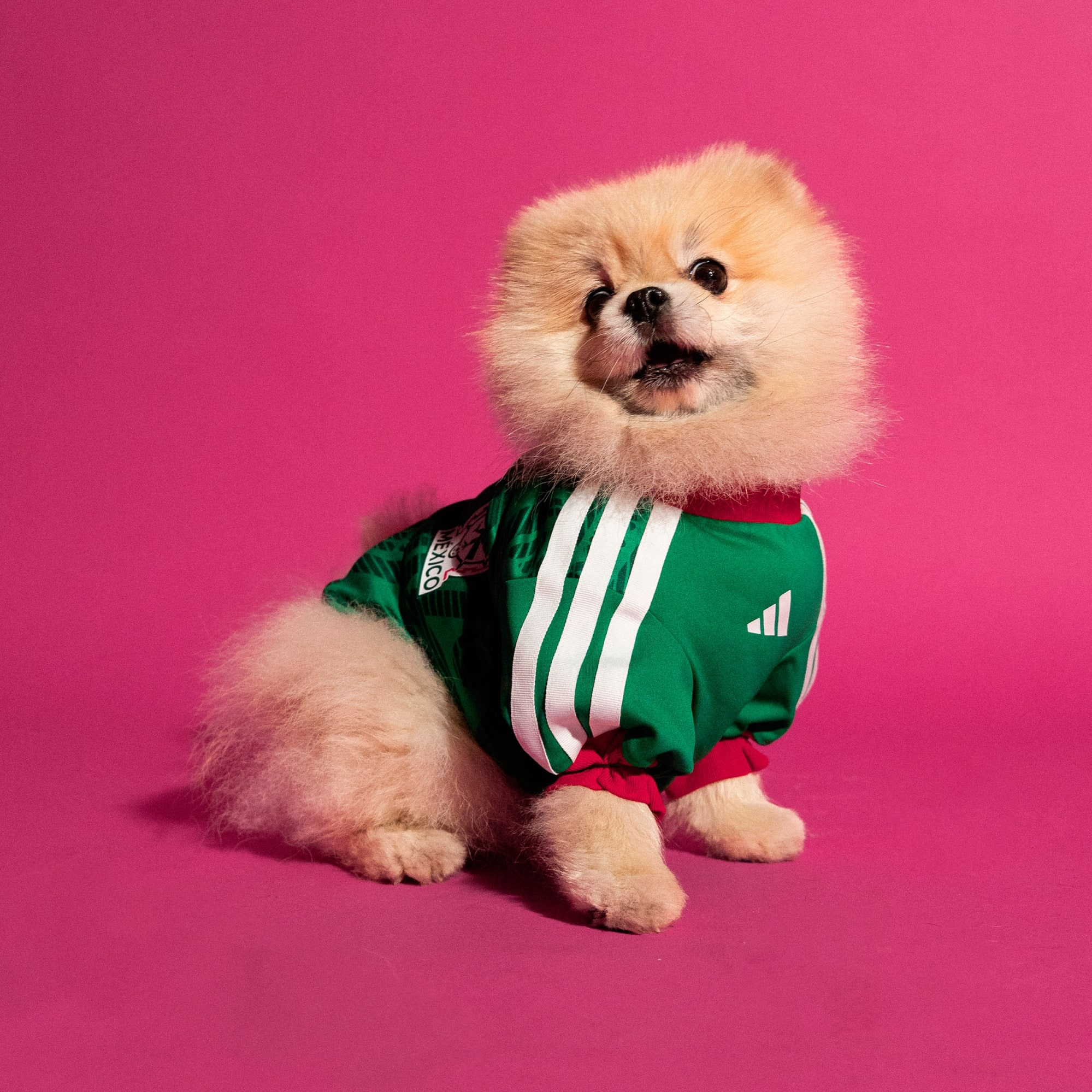 Jersey Adidas México - Mascotas