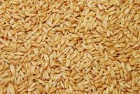 Los cereales en la alimentación infantil: la avena