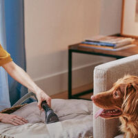 Es uno de los dispositivos de limpieza que triunfa cada Prime Day: esta aspiradora de agua Bissell para hogares con mascotas