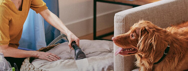 Es uno de los dispositivos de limpieza que triunfa cada Prime Day: esta aspiradora de agua Bissell para hogares con mascotas