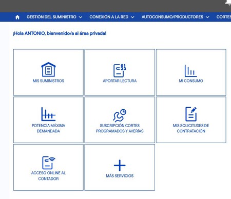 Endesa 1