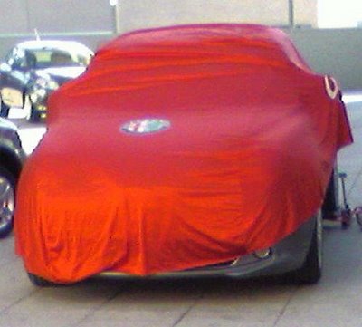 Alfa Junior