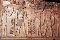 Abre en Egipto el Museo del Cocodrilo