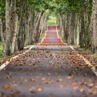 Viene un otoño incierto en lo económico: de este modo tu calidad de vida será peor