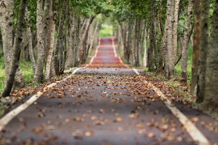 Viene un otoño incierto en lo económico: de este modo tu calidad de vida será peor