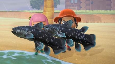 Animal Crossing: New Horizons: cómo pescar al Celacanto