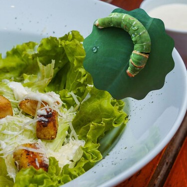 Gusanos en la lechuga: cómo eliminarlos por completo y si es seguro comerla después
 