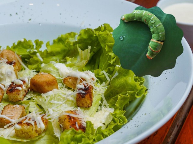 Ensalada Con Gusano