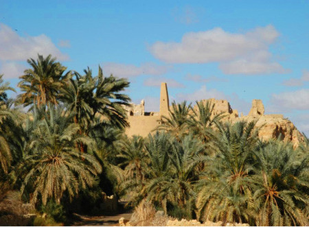 siwa2.jpg