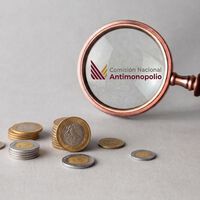 El mayor reto del sucesor de la Cofece no será vigilar los monopolios de México, sino funcionar con 48% menos presupuesto