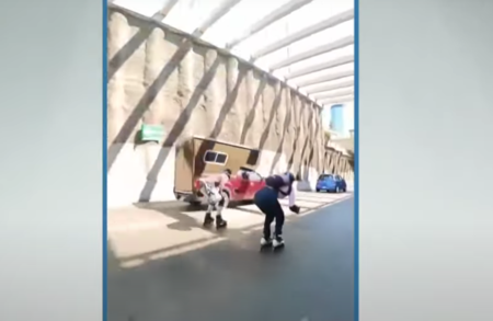 PATINADORES4