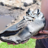 Una colección de zapatos romanos sorprende por su tamaño: el hallazgo en Inglaterra que desconcierta a los arqueólogos 