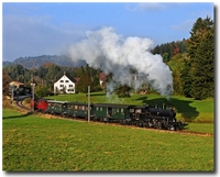 Trenes a vapor en Suiza 