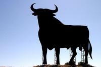 ¿Cómo afectará a la marca España el caso de ébola detectado en Madrid? La pregunta de la semana