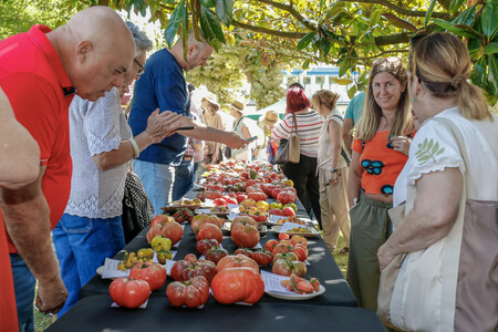 Feria Tomates
