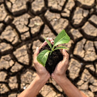 Siete verdades científicas por las que ser optimistas en cuanto al cambio climático, según una investigadora de Oxford. Hay esperanza