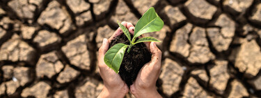 Siete verdades científicas por las que ser optimistas en cuanto al cambio climático, según una investigadora de Oxford. Hay esperanza