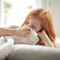 Llega a las farmacias la vacuna intranasal contra la gripe que evita el pinchazo: cuánto cuesta, cómo se aplica y contraindicaciones
