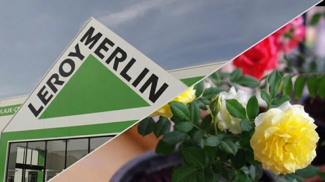Riego Leroy Merlin