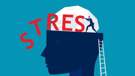 E66a5c3d 89d4 44de A841 66f2b7426683image Min