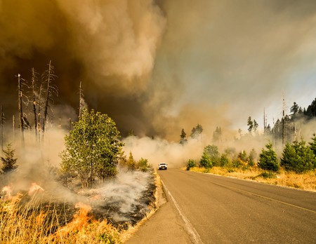 Tim Cook anuncia que Apple hará una donación a la ayuda contra los incendios forestales de California