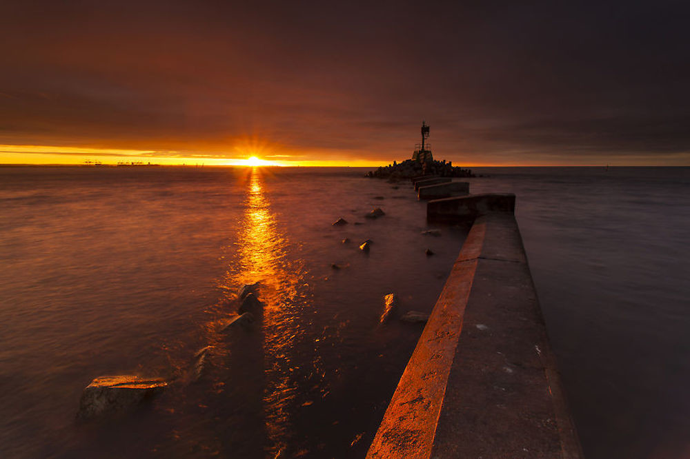 Karol Nienartowicz 1