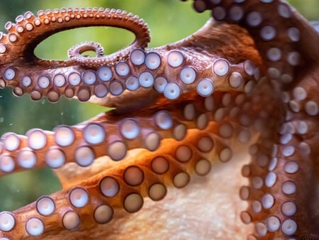 Post De Facebook Frase Acuarela Azul 1200 X 900 Px 2