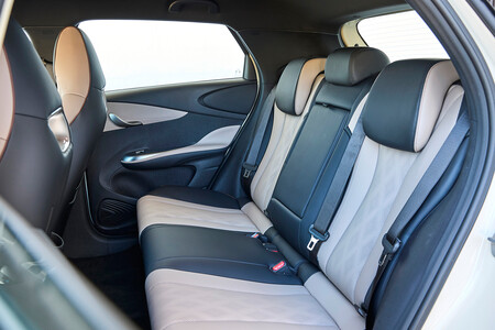 Byd Dolphin asientos traseros