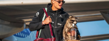 O que significa a técnica milenar de taxidermia usada no guaxinim do jogador de futebol Erling Haaland e por que esse animal inesperado esgotou nas lojas texanas 