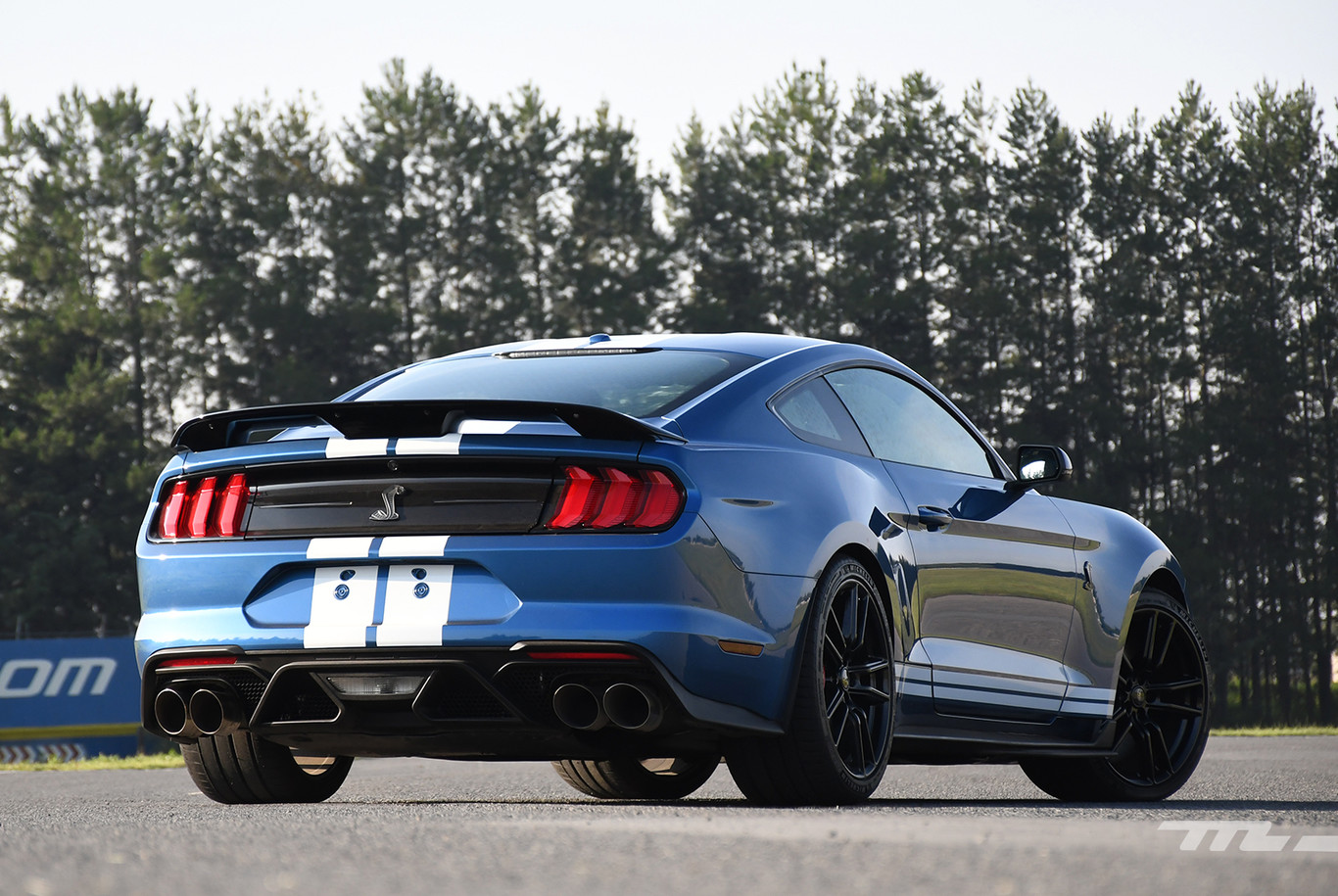 Ford Mustang Shelby GT500, a prueba Opiniones, fotos y precio en México