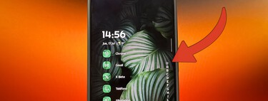 Siempre he usado el launcher de fábrica en Android, hasta que probé 'Niagara'