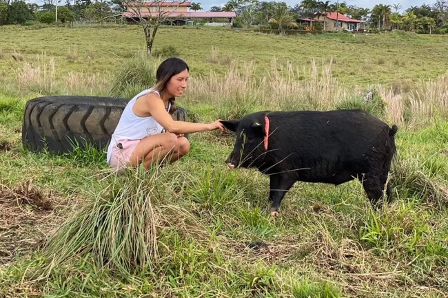 Selah S Pig Sanctuary