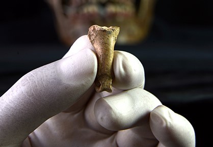Se encuentra el que probablemente sea uno de los últimos collares elaborados por los neandertales