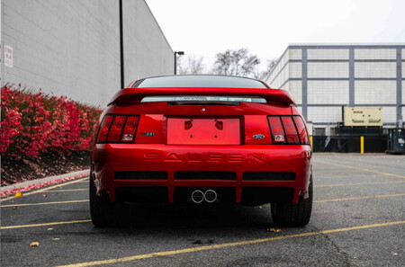 saleen back