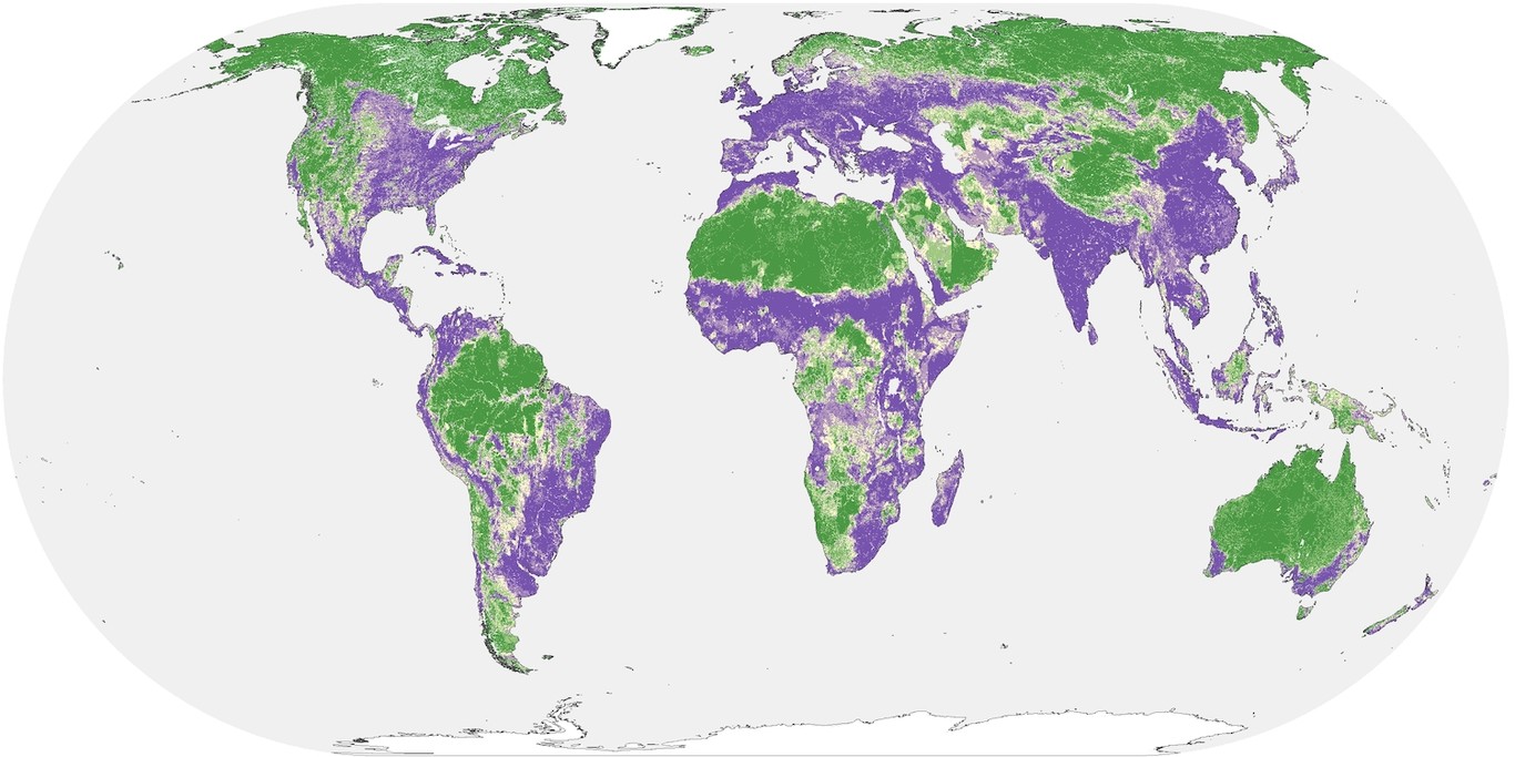 Global Human Influence Copy
